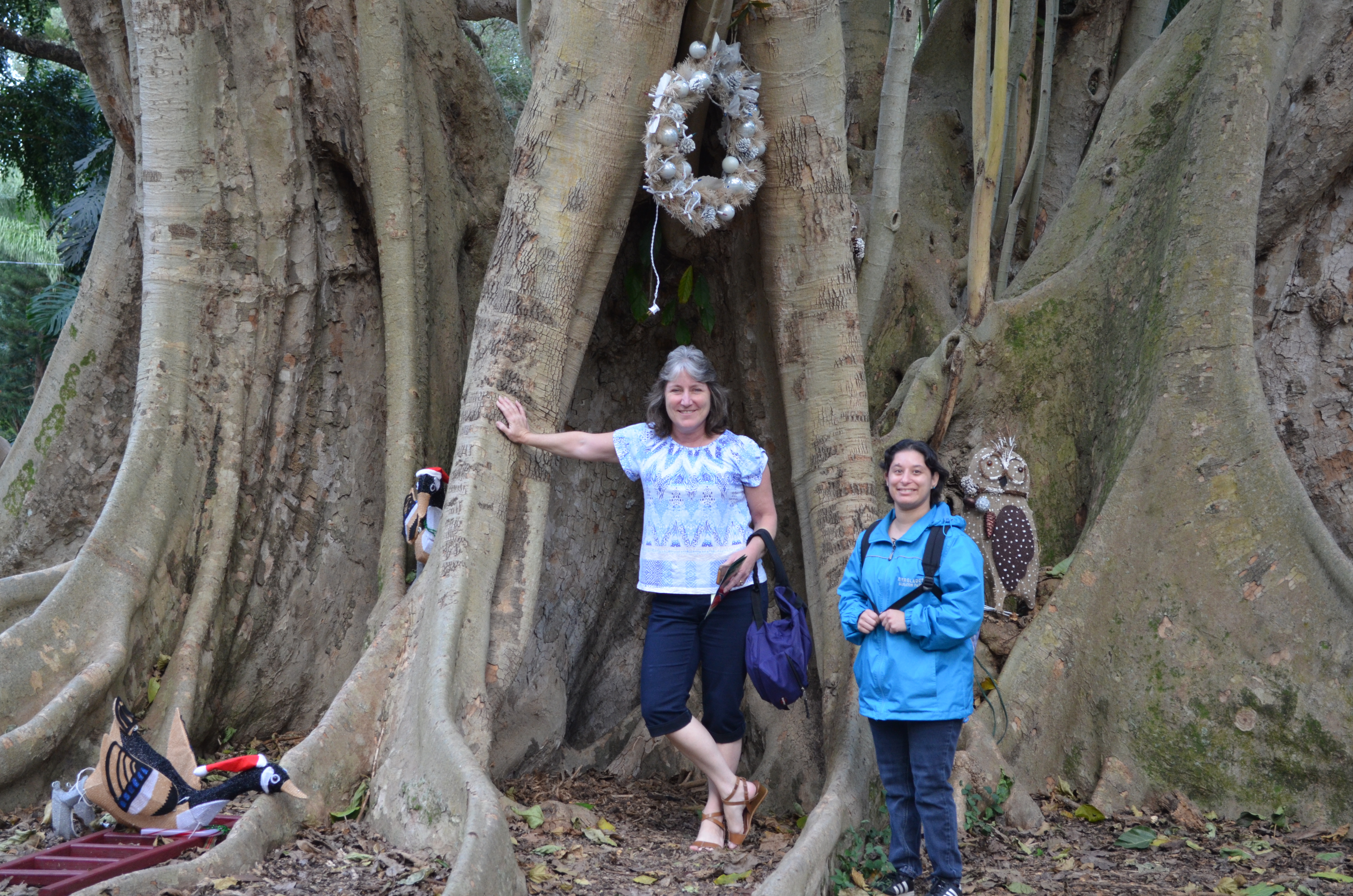 ./2014/Flamingo Gardens/DSC_8103.JPG